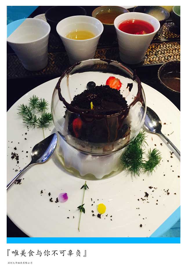 2015年第十二屆上海模型展，大華參展！